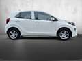 Kia Picanto Picanto 1.0 Edition 7 Klima 1. Hand TOP Weiß - thumbnail 5