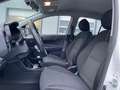 Kia Picanto Picanto 1.0 Edition 7 Klima 1. Hand TOP Weiß - thumbnail 11