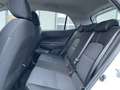 Kia Picanto Picanto 1.0 Edition 7 Klima 1. Hand TOP Weiß - thumbnail 12