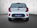 Kia Picanto Picanto 1.0 Edition 7 Klima 1. Hand TOP Weiß - thumbnail 7