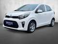 Kia Picanto Picanto 1.0 Edition 7 Klima 1. Hand TOP Weiß - thumbnail 1