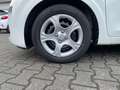 Kia Picanto Picanto 1.0 Edition 7 Klima 1. Hand TOP Weiß - thumbnail 10