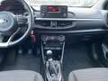 Kia Picanto Picanto 1.0 Edition 7 Klima 1. Hand TOP Weiß - thumbnail 14