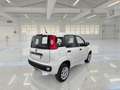 Fiat Panda 0.9 TwinAir Turbo Natural P. E6d-T Easy 5 PORTE - thumbnail 4