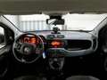 Fiat Panda 0.9 TwinAir Turbo Natural P. E6d-T Easy 5 PORTE - thumbnail 7