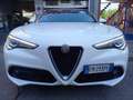 Alfa Romeo Stelvio Stelvio 2.2 TURBODIESEL 210CV Executive Q4 auto White - thumbnail 14