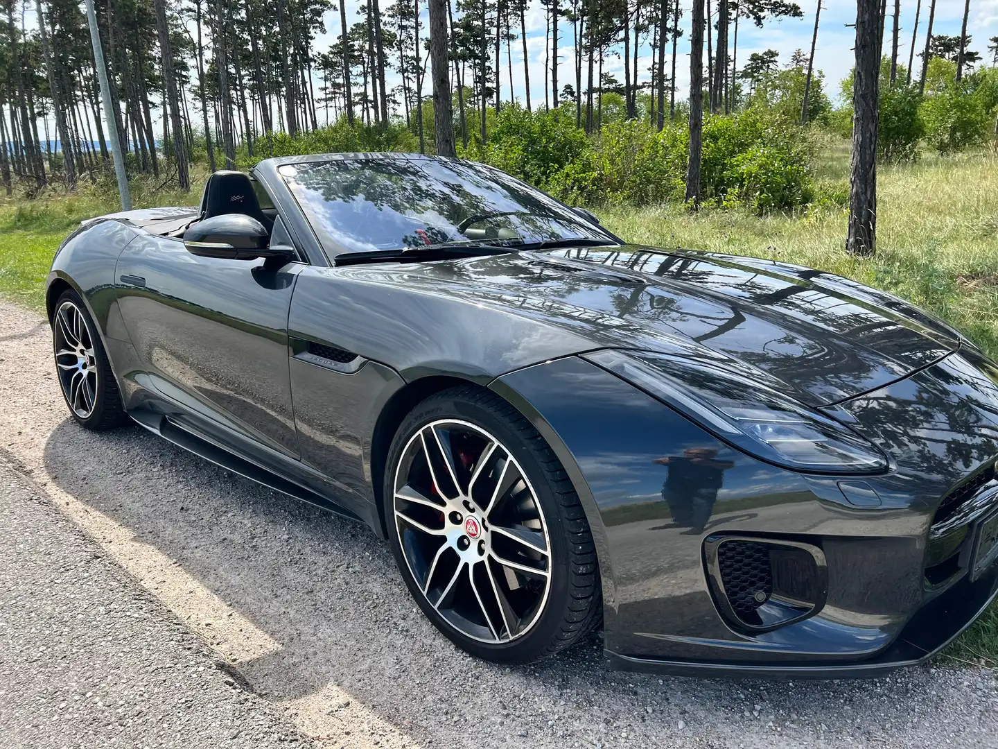 Jaguar F-Type F-Type P300 Cabrio 2,0 Turbo Chequered Flag Aut. Gri - 2