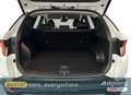 Hyundai TUCSON 1.6 T-GDi 48V-Hybrid 4WD DCT - thumbnail 6