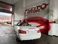 Mercedes-Benz E 220 Cabrio 220CDI 7G Plus Wit - thumbnail 9