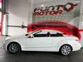 Mercedes-Benz E 220 Cabrio 220CDI 7G Plus Wit - thumbnail 18