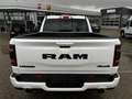 Dodge RAM RAM 1500 Laramie Night 5,7 V8 LPG,AHK,LUFTFAHRWERK Bianco - thumbnail 6