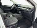 Ford Kuga 2.5 Duratec PHEV TITANIUM X Weiß - thumbnail 11