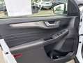 Ford Kuga 2.5 Duratec PHEV TITANIUM X Weiß - thumbnail 14