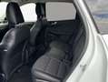 Ford Kuga 2.5 Duratec PHEV TITANIUM X Weiß - thumbnail 9