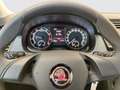 Skoda Fabia Active SC TSI Grau - thumbnail 8