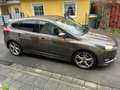 Ford Focus Focus 1.5 EcoBoost Start-Stopp-System Titanium Beżowy - thumbnail 1