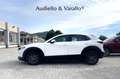 Mazda CX-30 2.0L Skyactiv-G 150 CV M Hybrid 2WD Evolve AUTOMA Blanc - thumbnail 7
