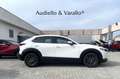 Mazda CX-30 2.0L Skyactiv-G 150 CV M Hybrid 2WD Evolve AUTOMA Blanc - thumbnail 6