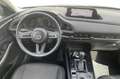 Mazda CX-30 2.0L Skyactiv-G 150 CV M Hybrid 2WD Evolve AUTOMA Blanc - thumbnail 14