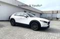 Mazda CX-30 2.0L Skyactiv-G 150 CV M Hybrid 2WD Evolve AUTOMA Blanc - thumbnail 4