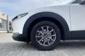 Mazda CX-30 2.0L Skyactiv-G 150 CV M Hybrid 2WD Evolve AUTOMA Blanc - thumbnail 9