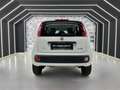 Fiat Panda 0.9 twinair 80CV-METANO-NEOPATENTATI-PERMUTE Bianco - thumbnail 6