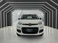 Fiat Panda 0.9 twinair 80CV-METANO-NEOPATENTATI-PERMUTE Bianco - thumbnail 1