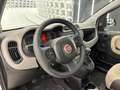 Fiat Panda 0.9 twinair 80CV-METANO-NEOPATENTATI-PERMUTE Bianco - thumbnail 7
