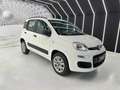 Fiat Panda 0.9 twinair 80CV-METANO-NEOPATENTATI-PERMUTE Bianco - thumbnail 2