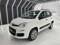 Fiat Panda 0.9 twinair 80CV-METANO-NEOPATENTATI-PERMUTE Bianco - thumbnail 3