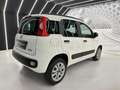 Fiat Panda 0.9 twinair 80CV-METANO-NEOPATENTATI-PERMUTE Bianco - thumbnail 5