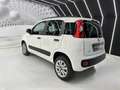 Fiat Panda 0.9 twinair 80CV-METANO-NEOPATENTATI-PERMUTE Bianco - thumbnail 4