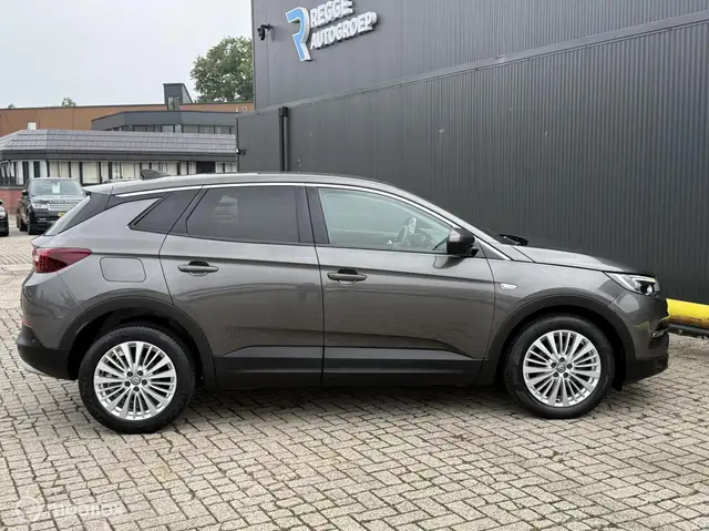 Opel Grandland X view 9