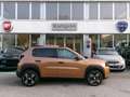 Fiat Grande Panda Grande Panda 1.2 Hybrid 110 CV S&S La Prima Bronze - thumbnail 2