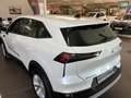 Mitsubishi Grandis 1,3 Petrol Invite C 26 Weiß - thumbnail 4