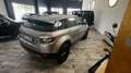 Land Rover Range Rover Evoque 2.2 Sd4 5p. Prestige Grigio - thumbnail 6