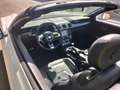 Ford Mustang Mustang Convertible 5.0 ti-vct V8 GT 450cv my19 Bianco - thumbnail 5