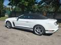 Ford Mustang Mustang Convertible 5.0 ti-vct V8 GT 450cv my19 Bianco - thumbnail 8