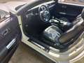 Ford Mustang Mustang Convertible 5.0 ti-vct V8 GT 450cv my19 Bianco - thumbnail 7