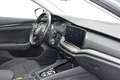 Skoda Octavia Combi 2,0 TDI 4x4 Ambition DSG Zilver - thumbnail 19