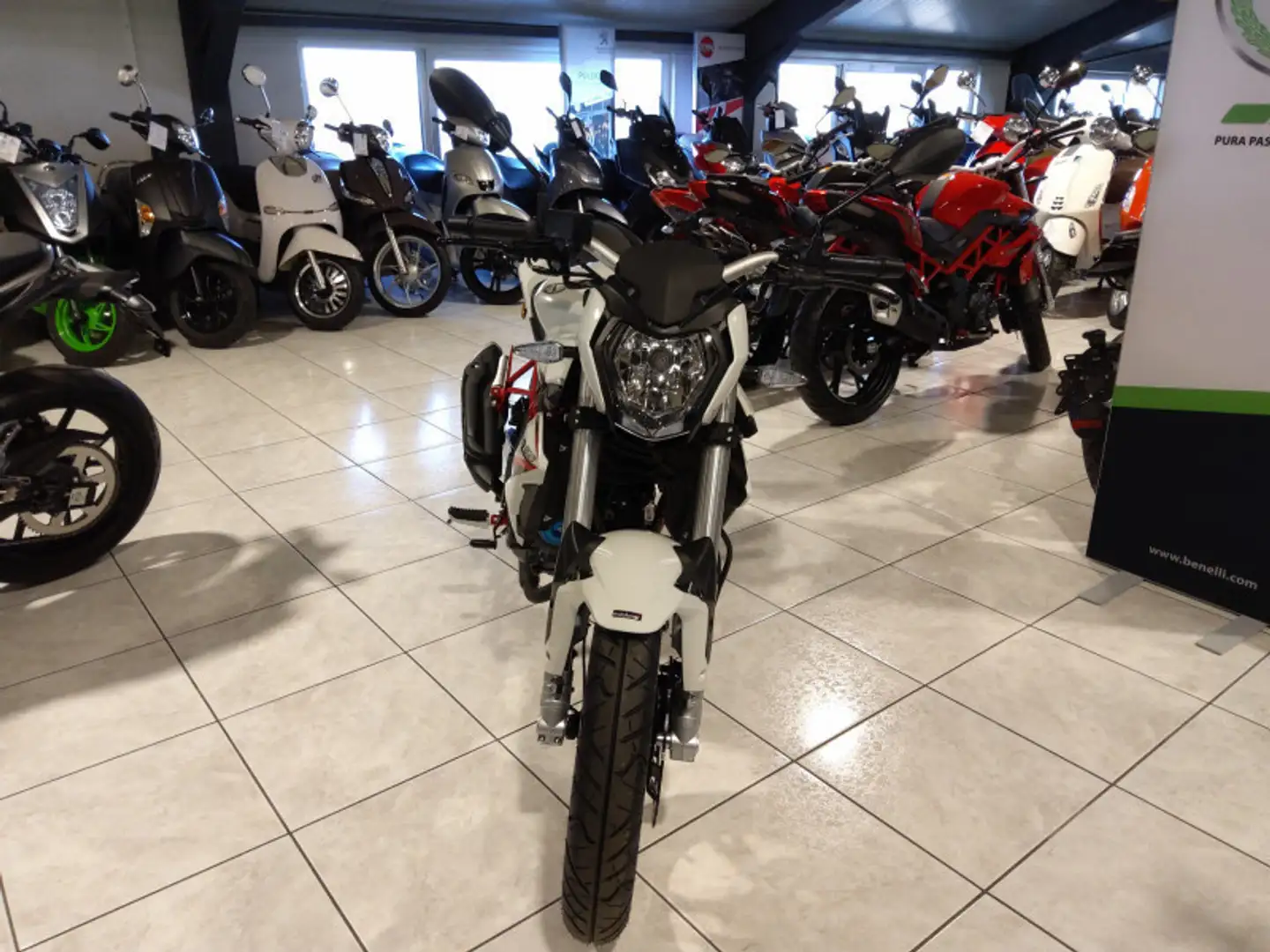Benelli BN 125 BLANC Blanc - 2