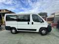 Fiat Ducato Panorama Fehér - thumbnail 8