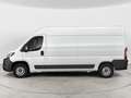Fiat Ducato FIAT DUCATO SERIE 2 MY25.5 Ducato Furgone Lastrat Weiß - thumbnail 3