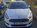 Ford S-Max S-MAX Titanium 2.0 TDCi Auto-Start/Stop Aut. Titan Weiß - thumbnail 1