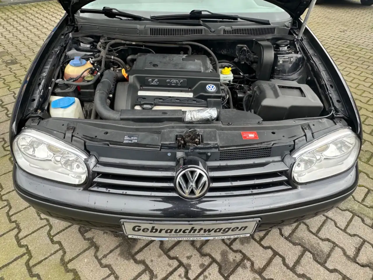 Volkswagen Golf 1.4 Basis, foto 8