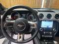 Ford Mustang Mustang 2.3 Eco Boost Gris - thumbnail 12