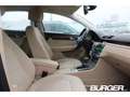 Volkswagen Passat Comfortline 1.8 Bi-Xenon Winterpaket PDC v+h Mehrz Brun - thumbnail 21