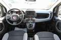 Fiat Panda 1.0 FireFly S&S Hybrid City Life Bianco - thumbnail 7
