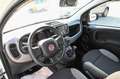 Fiat Panda 1.0 FireFly S&S Hybrid City Life Bianco - thumbnail 8