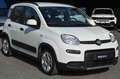 Fiat Panda 1.0 FireFly S&S Hybrid City Life Bianco - thumbnail 2
